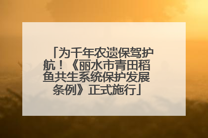 为千年农遗保驾护航！《丽水市青田稻鱼共生系统保护发展条例》正式施行