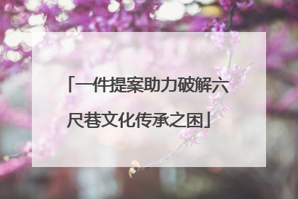 一件提案助力破解六尺巷文化传承之困