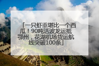 一只虾重堪比一个西瓜！90吨活波龙运抵鄂州，花湖机场货运航线突破100条