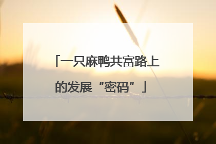 一只麻鸭共富路上的发展“密码”