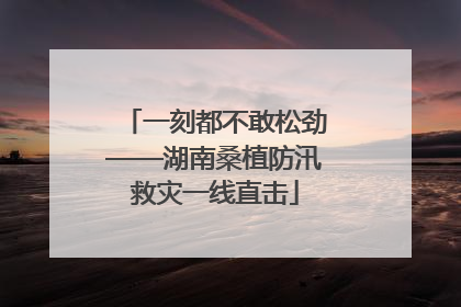 一刻都不敢松劲——湖南桑植防汛救灾一线直击