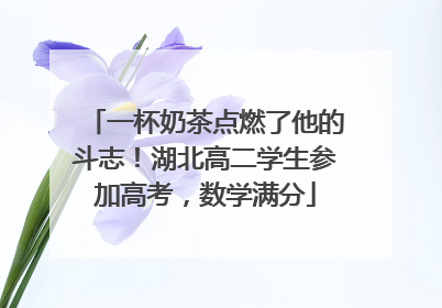 一杯奶茶点燃了他的斗志！湖北高二学生参加高考，数学满分