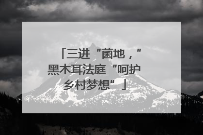 三进“菌地，”黑木耳法庭“呵护乡村梦想”