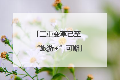 三重变革已至 “旅游+”可期