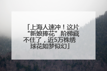 上海人速冲！这片“新娘捧花”阶梯藏不住了，近5万株绣球花如梦似幻