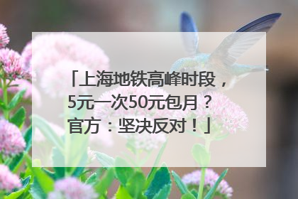 上海地铁高峰时段，5元一次50元包月？官方：坚决反对！