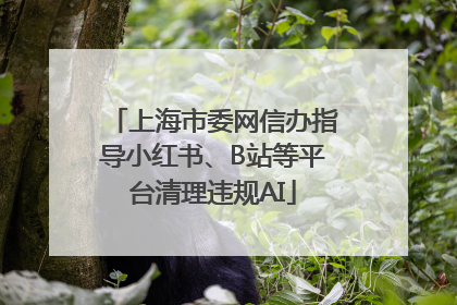 上海市委网信办指导小红书、B站等平台清理违规AI