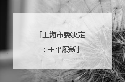 上海市委决定：王平履新
