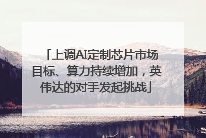 上调AI定制芯片市场目标、算力持续增加，英伟达的对手发起挑战
