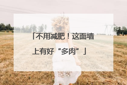不用减肥！这面墙上有好“多肉”