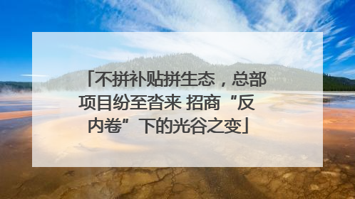不拼补贴拼生态，总部项目纷至沓来 招商“反内卷”下的光谷之变