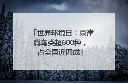世界环境日：京津冀鸟类超600种，占全国近四成