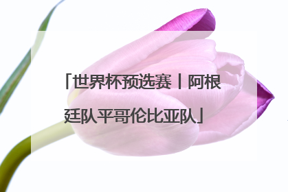 世界杯预选赛丨阿根廷队平哥伦比亚队