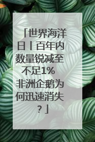 世界海洋日丨百年内数量锐减至不足1% 非洲企鹅为何迅速消失？