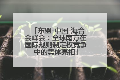 东盟-中国-海合会峰会：全球南方在国际规则制定权竞争中的集体亮相