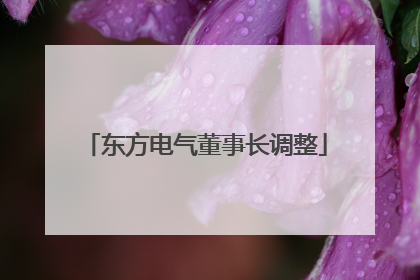 东方电气董事长调整