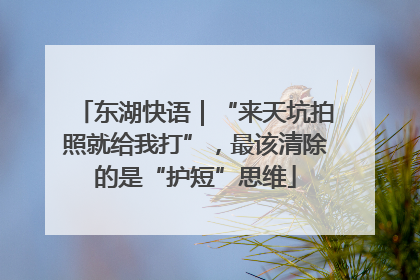 东湖快语｜“来天坑拍照就给我打”，最该清除的是“护短”思维