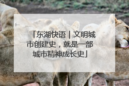 东湖快语｜文明城市创建史，就是一部城市精神成长史