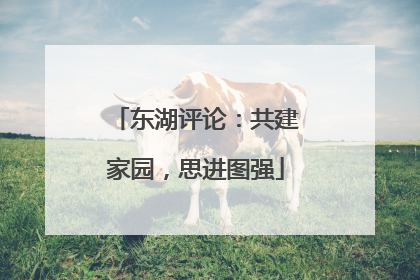 东湖评论：共建家园，思进图强