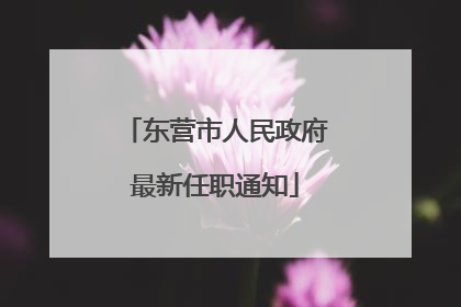 东营市人民政府最新任职通知