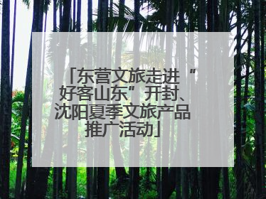 东营文旅走进“好客山东”开封、沈阳夏季文旅产品推广活动