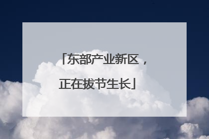 东部产业新区，正在拔节生长