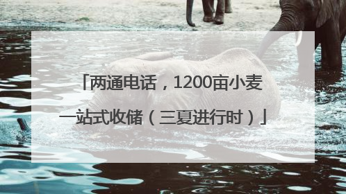 两通电话，1200亩小麦一站式收储（三夏进行时）