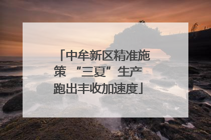 中牟新区精准施策 “三夏”生产跑出丰收加速度