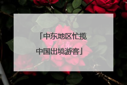中东地区忙揽中国出境游客