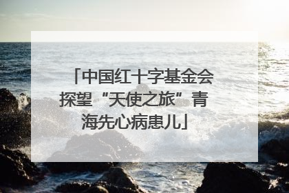 中国红十字基金会探望“天使之旅”青海先心病患儿