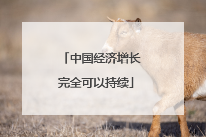中国经济增长完全可以持续