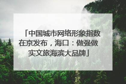 中国城市网络形象指数在京发布，海口：做强做实文旅海滨大品牌