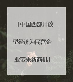 中国西部开放型经济为民营企业带来新商机