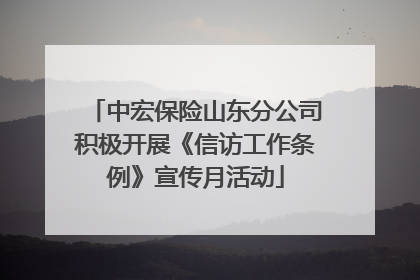 中宏保险山东分公司积极开展《信访工作条例》宣传月活动