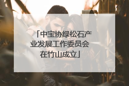 中宝协绿松石产业发展工作委员会在竹山成立