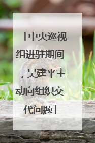 中央巡视组进驻期间，吴建平主动向组织交代问题