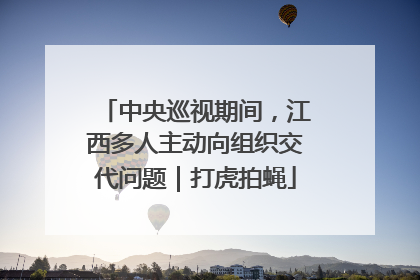 中央巡视期间，江西多人主动向组织交代问题｜打虎拍蝇
