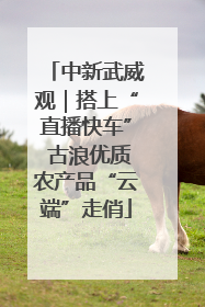 中新武威观｜搭上“直播快车” 古浪优质农产品“云端”走俏