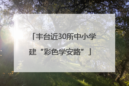 丰台近30所中小学建“彩色学安路”