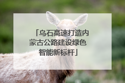 乌石高速打造内蒙古公路建设绿色智能新标杆