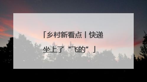 乡村新看点丨快递坐上了“飞的”