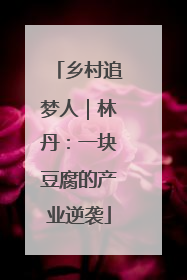 乡村追梦人｜林丹：一块豆腐的产业逆袭