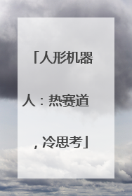 人形机器人：热赛道，冷思考