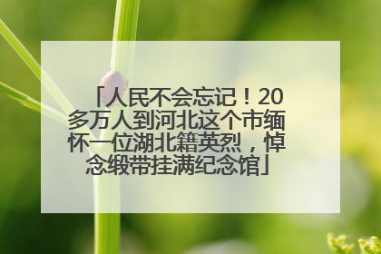 人民不会忘记！20多万人到河北这个市缅怀一位湖北籍英烈，悼念缎带挂满纪念馆