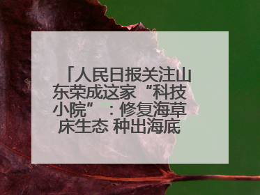 人民日报关注山东荣成这家“科技小院”：修复海草床生态 种出海底“森林”