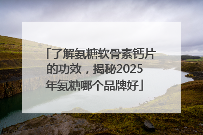 了解氨糖软骨素钙片的功效，揭秘2025年氨糖哪个品牌好