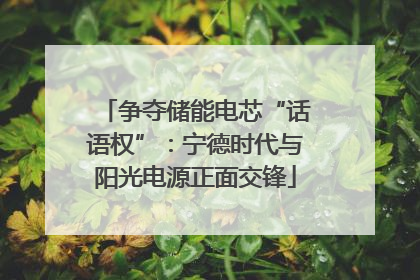 争夺储能电芯“话语权”：宁德时代与阳光电源正面交锋