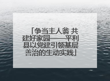 争当主人翁 共建好家园——平利县以党建引领基层善治的生动实践