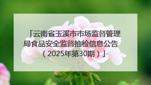 云南省玉溪市市场监督管理局食品安全监督抽检信息公告（2025年第30期）