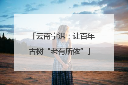云南宁洱：让百年古树“老有所依”